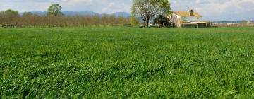 Parkimisega hotellid sihtkohas La Selva del Camp