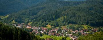 Hotels with Parking in Furtwangen