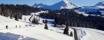 Cheap holidays in Morzine