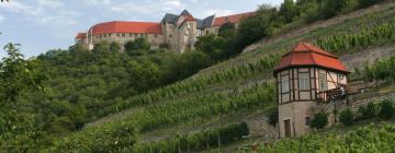 Hôtels à Neuenburg am Rhein