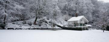 Cottage di Merton