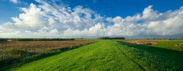 Ferieboliger i Legemeer