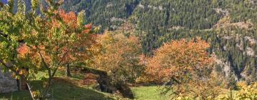 Cabins in Trient