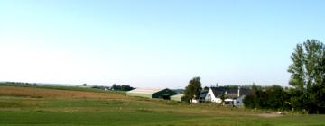 Cottages in Billum