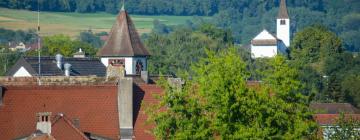 Hotel con parcheggio a Busingen am Hochrhein