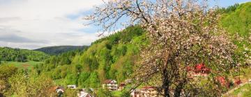 Hotels with Parking in Żegiestów