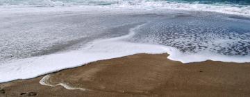 Svečius su gyvūnais priimantys viešbučiai mieste Gleneden Beach