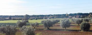 Holiday Rentals in Palidoro