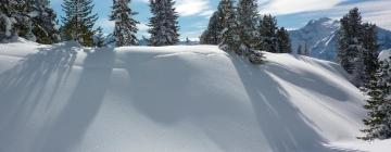 Ski Resorts in Oberwössen