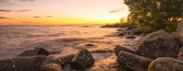 Отели, где разрешено размещение с домашними животными в городе Nipissing Beach