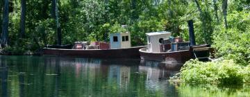 Cottages in Silver Springs