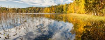 Hotels mit Parkplatz in Niemce