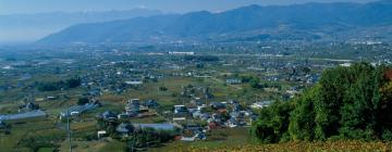 Hotéis com estacionamento em Koshu