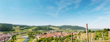Cheap hotels in Limbach