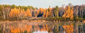 Holiday Homes in Tomahawk