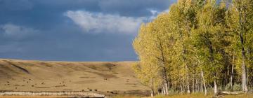 Hotels with Parking in High River