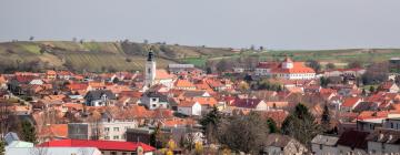 Hoteles familiares en Čejkovice