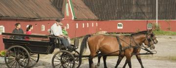 Hotell med parkering i Dronninglund