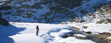 Hoteles en Navarredonda de Gredos