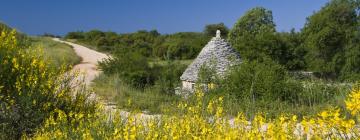 Holiday Homes in Puntera