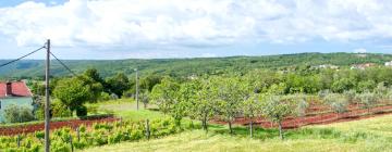 Cottages in Gorica