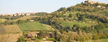 Holiday Rentals in Barchi