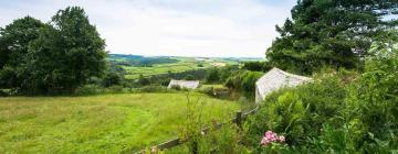 Cottages in Warleggan