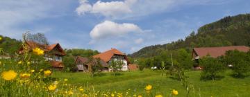 Hotel dengan parkir di Konigsfeld