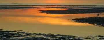 Hôtels à Le Touquet-Paris-Plage