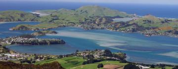 Hotels in Dunedin