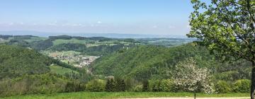 Locations de vacances à Rabenstein