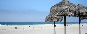 Pet-Friendly Hotels in Rosarito
