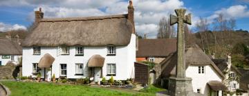 Cottages in Lustleigh