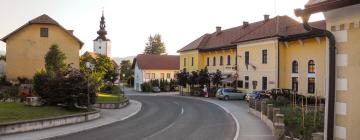 Viešbučiai su vietomis automobiliams mieste Bistrica ob Sotli