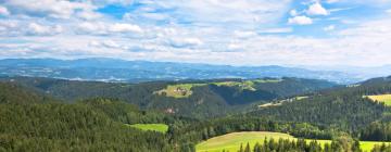 Hotels amb aparcament a Hintergöriach