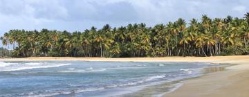 Hoteles en Palmar de Ocoa