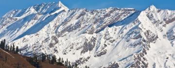 Hotels in Manali