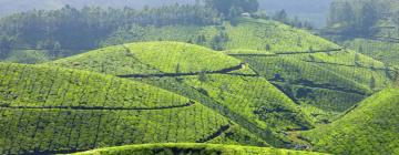 Hôtels à Munnar