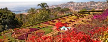 Cheap vacations in Funchal
