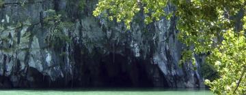 Things to do in Puerto Princesa City