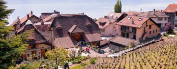 Hotels in Chardonne