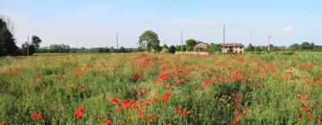 Hotels mit Parkplatz in Albinea