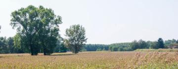 Ferieboliger i San Martino Siccomario