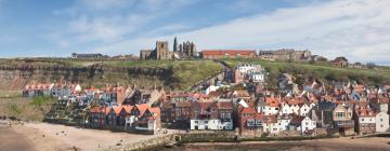 B&Bs in Whitby