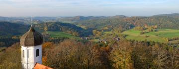 Hoteles familiares en Falkenstein