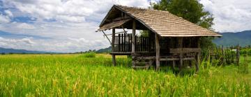 Hotels in Pai