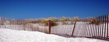 Hoteles de playa en Gulf Shores