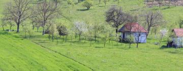 Pensiuni în Sânmartin