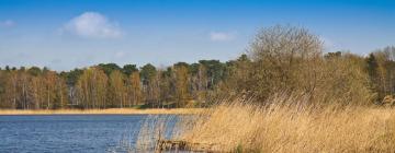 Holiday Homes in Wesenberg