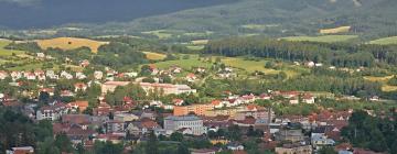 Parkolóval rendelkező hotelek Vizovicében